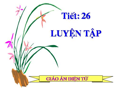 Các bài Luyện tập