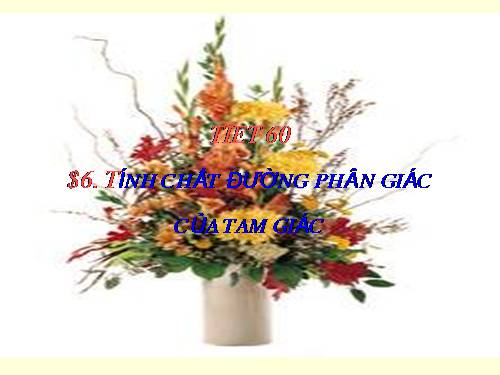 Chương III. §6. Tính chất ba đường phân giác của tam giác