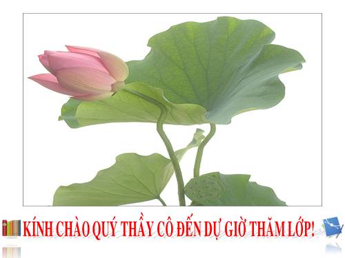 Chương II. §1. Tổng ba góc của một tam giác