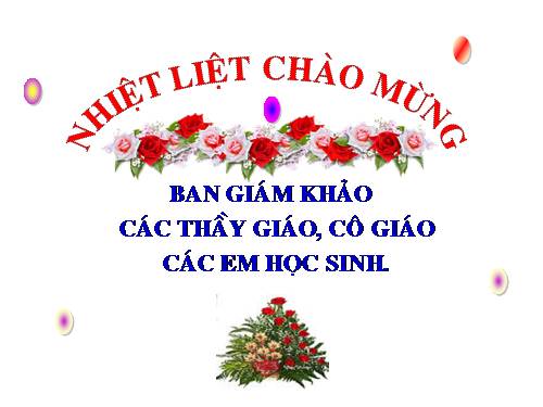 Các bài Luyện tập