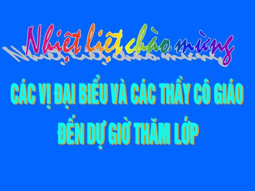 Các bài Luyện tập