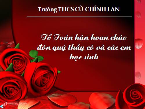 Các bài Luyện tập