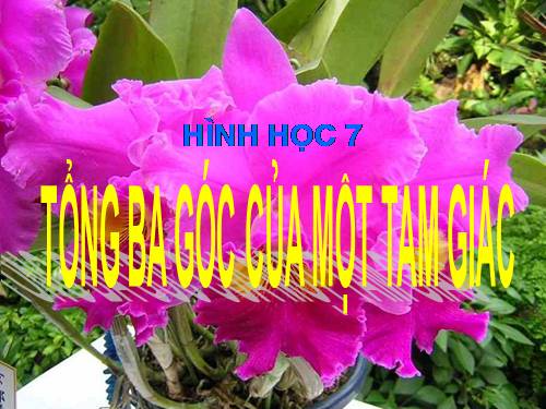 Chương II. §1. Tổng ba góc của một tam giác