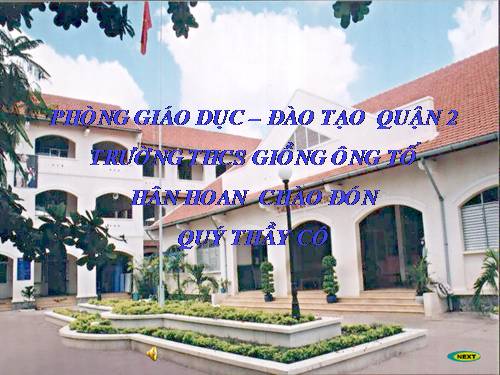 Các bài Luyện tập