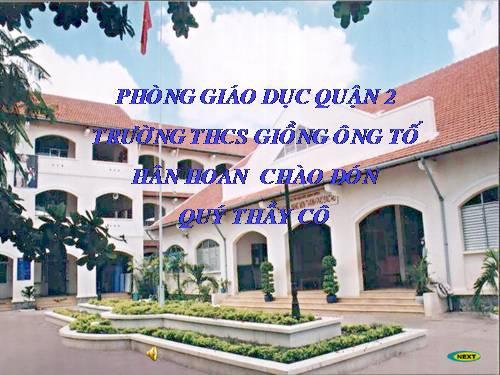 Các bài Luyện tập