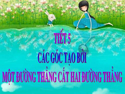 Chương I. §3. Các góc tạo bởi một đường thẳng cắt hai đường thẳng