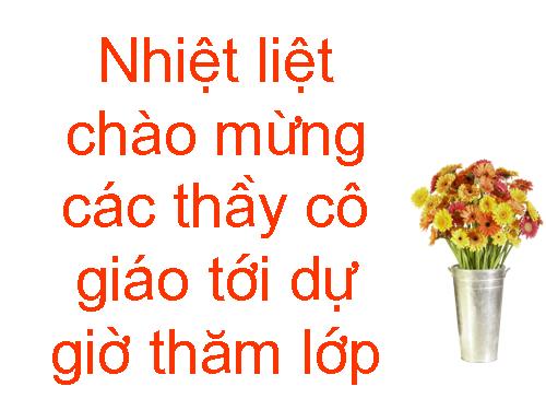 Các bài Luyện tập