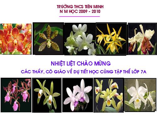 Chương II. §4. Trường hợp bằng nhau thứ hai của tam giác: cạnh-góc-cạnh (c.g.c)