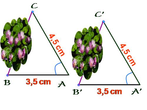 Chương II. §4. Trường hợp bằng nhau thứ hai của tam giác: cạnh-góc-cạnh (c.g.c)