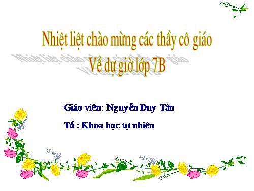 Chương II. §4. Trường hợp bằng nhau thứ hai của tam giác: cạnh-góc-cạnh (c.g.c)