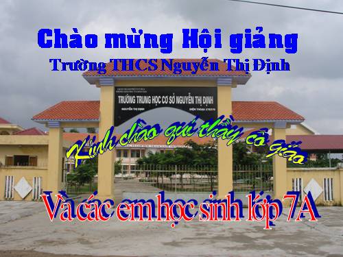 Các bài Luyện tập