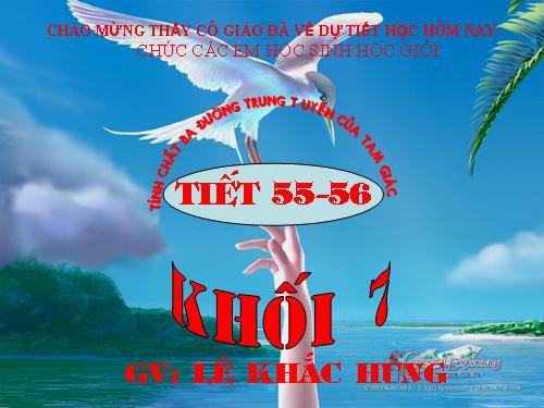 Chương III. §4. Tính chất ba đường trung tuyến của tam giác