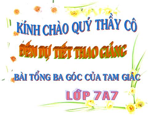 Chương II. §1. Tổng ba góc của một tam giác