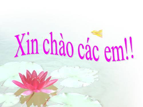 Chương III. §4. Tính chất ba đường trung tuyến của tam giác