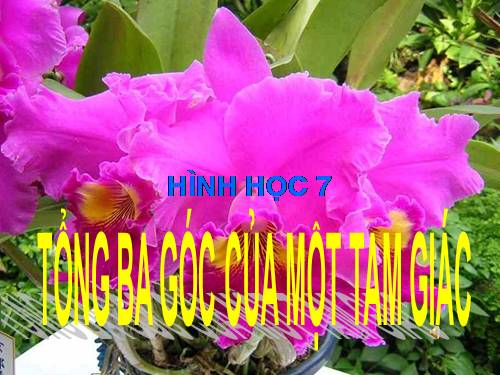 Chương II. §1. Tổng ba góc của một tam giác