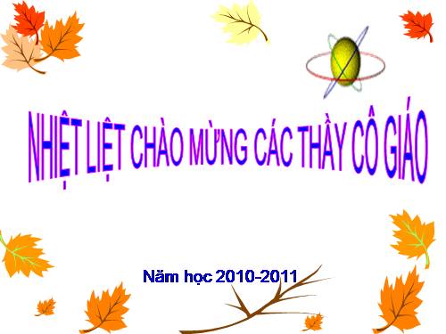 Các bài Luyện tập