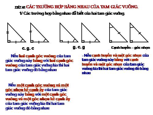 Chương II. §8. Các trường hợp bằng nhau của tam giác vuông