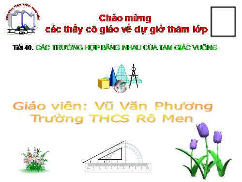 Chương II. §8. Các trường hợp bằng nhau của tam giác vuông