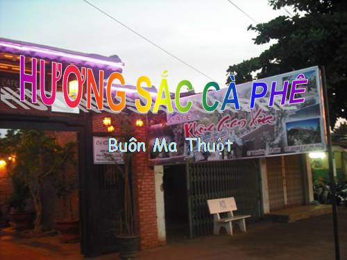 Hương sắc cà phê Buôn Ma Thuột