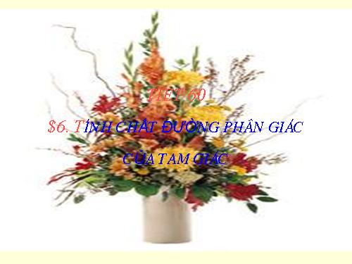 Chương III. §6. Tính chất ba đường phân giác của tam giác