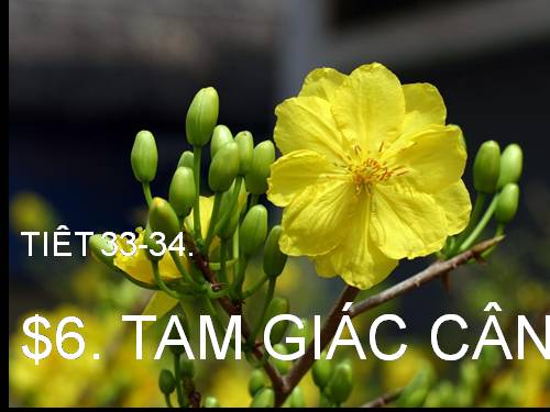 Chương II. §6. Tam giác cân