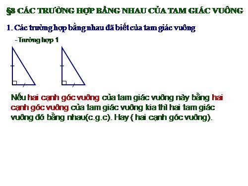 Chương II. §8. Các trường hợp bằng nhau của tam giác vuông