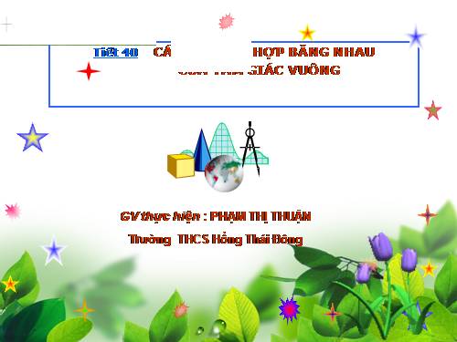 Chương II. §8. Các trường hợp bằng nhau của tam giác vuông