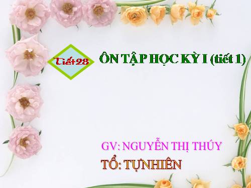 Tiết 28: Ônm tập học kỳ 1