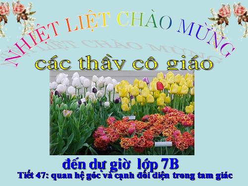 Chương III. §1. Quan hệ giữa góc và cạnh đối diện trong một tam giác