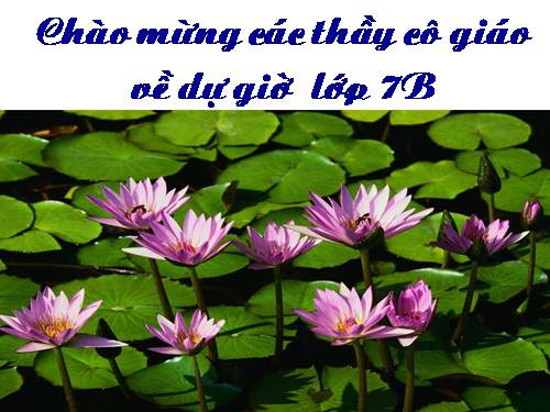 Chương III. §1. Quan hệ giữa góc và cạnh đối diện trong một tam giác