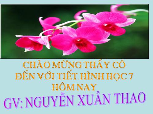 Ôn tập Chương II. Tam giác