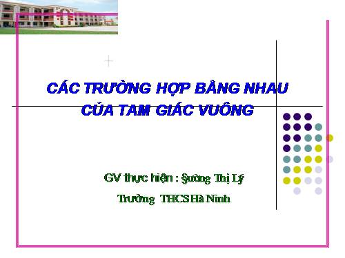 Chương II. §8. Các trường hợp bằng nhau của tam giác vuông