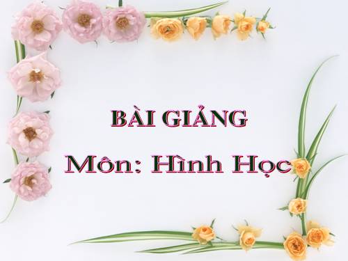 Chương II. §8. Các trường hợp bằng nhau của tam giác vuông