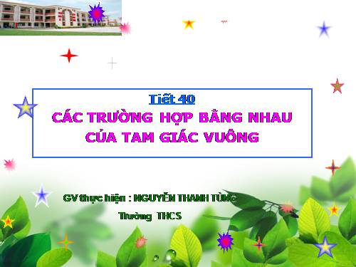 Chương II. §8. Các trường hợp bằng nhau của tam giác vuông