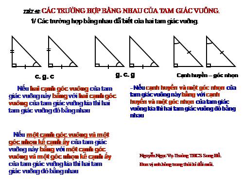 Chương II. §8. Các trường hợp bằng nhau của tam giác vuông