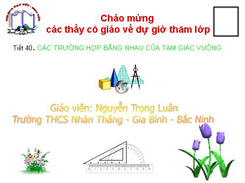 Chương II. §8. Các trường hợp bằng nhau của tam giác vuông