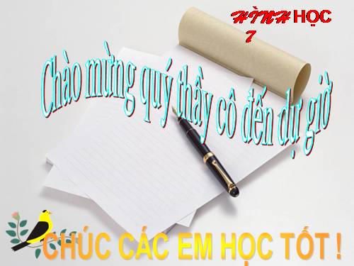 Các bài Luyện tập