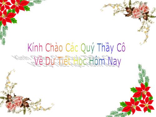 Các bài Luyện tập