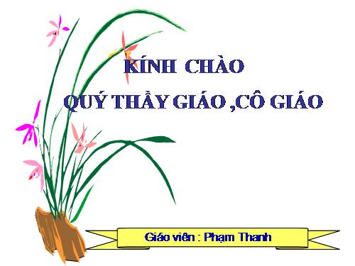 Chương I. §3. Các góc tạo bởi một đường thẳng cắt hai đường thẳng