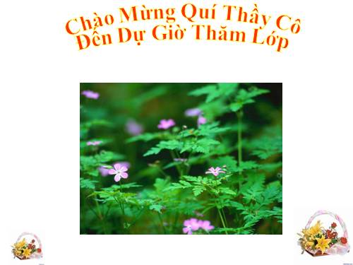 Chương II. §4. Trường hợp bằng nhau thứ hai của tam giác: cạnh-góc-cạnh (c.g.c)