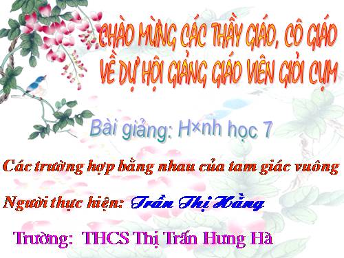 Chương II. §8. Các trường hợp bằng nhau của tam giác vuông