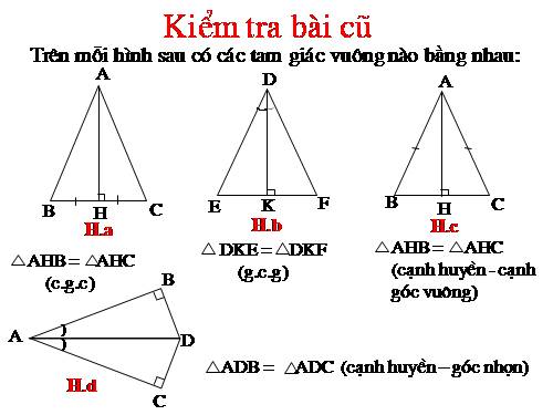 Các bài Luyện tập