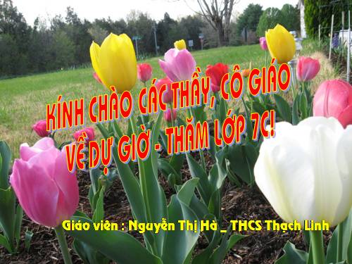 Ôn tập Chương II. Tam giác