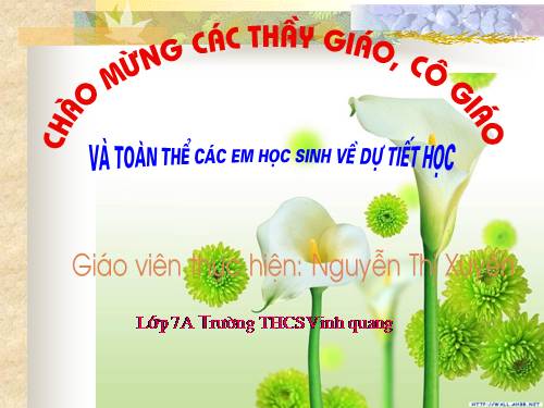 Chương II. §1. Tổng ba góc của một tam giác