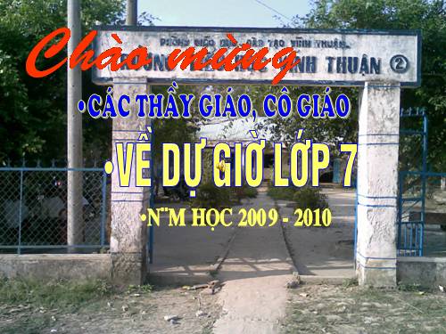 Các bài Luyện tập