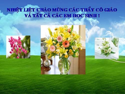 Chương II. §1. Tổng ba góc của một tam giác