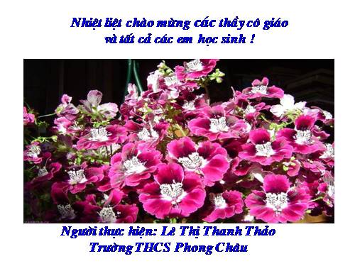 Chương II. §1. Tổng ba góc của một tam giác