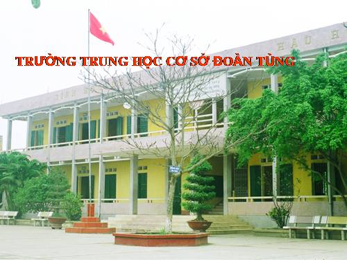 Các bài Luyện tập