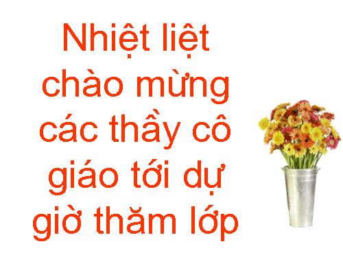 Các bài Luyện tập