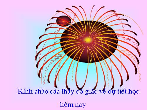 Chương III. §4. Tính chất ba đường trung tuyến của tam giác